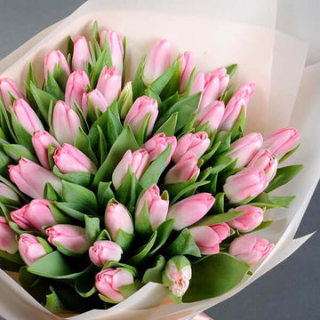 Pink Tulips Bouquet